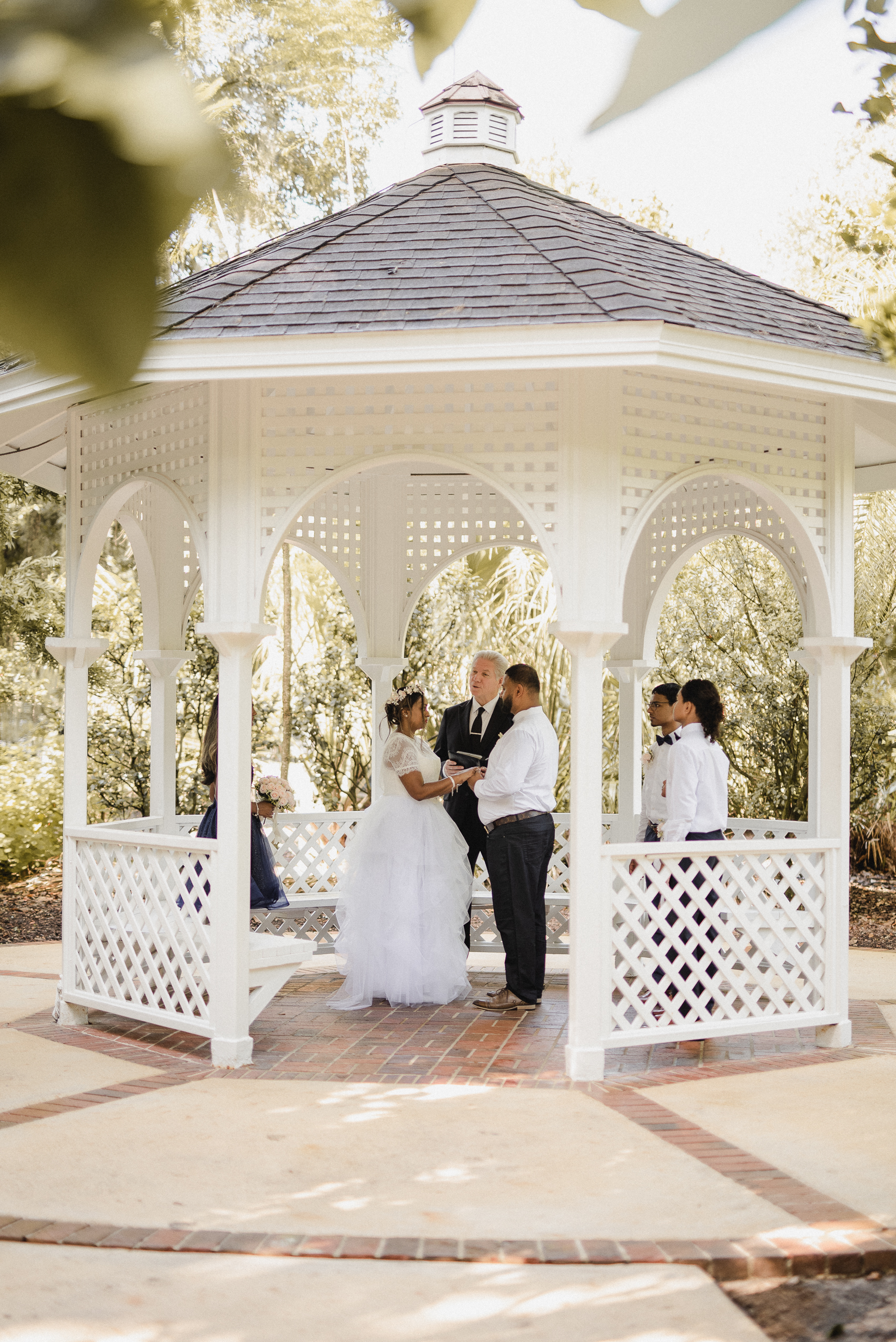 harry p leu gardens winter park elopement wedding couples photographer photography florida local packages