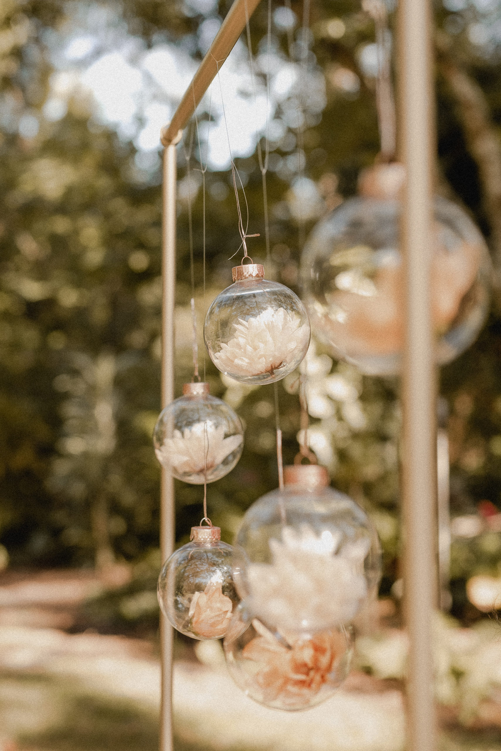 Mead Botanical Gardens Elopement Orlando Florida Wedding Photographer