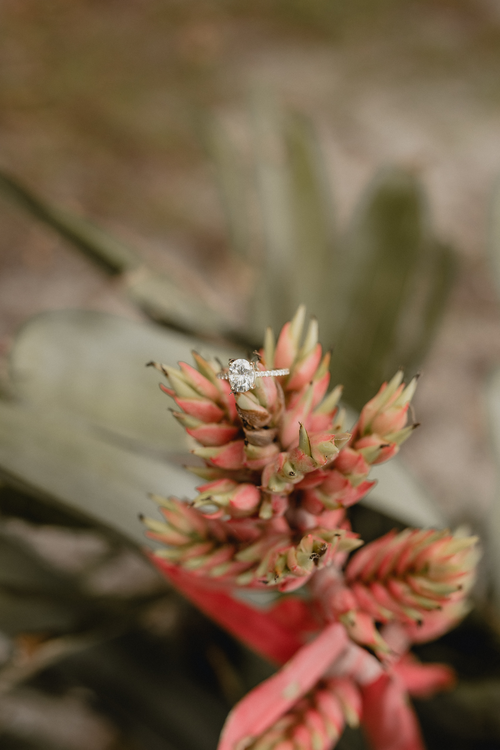 Central Florida Wedding Elopement Photographer Florida Kraft Azalea Park Winter Park Orlando Florida Couples Photographer