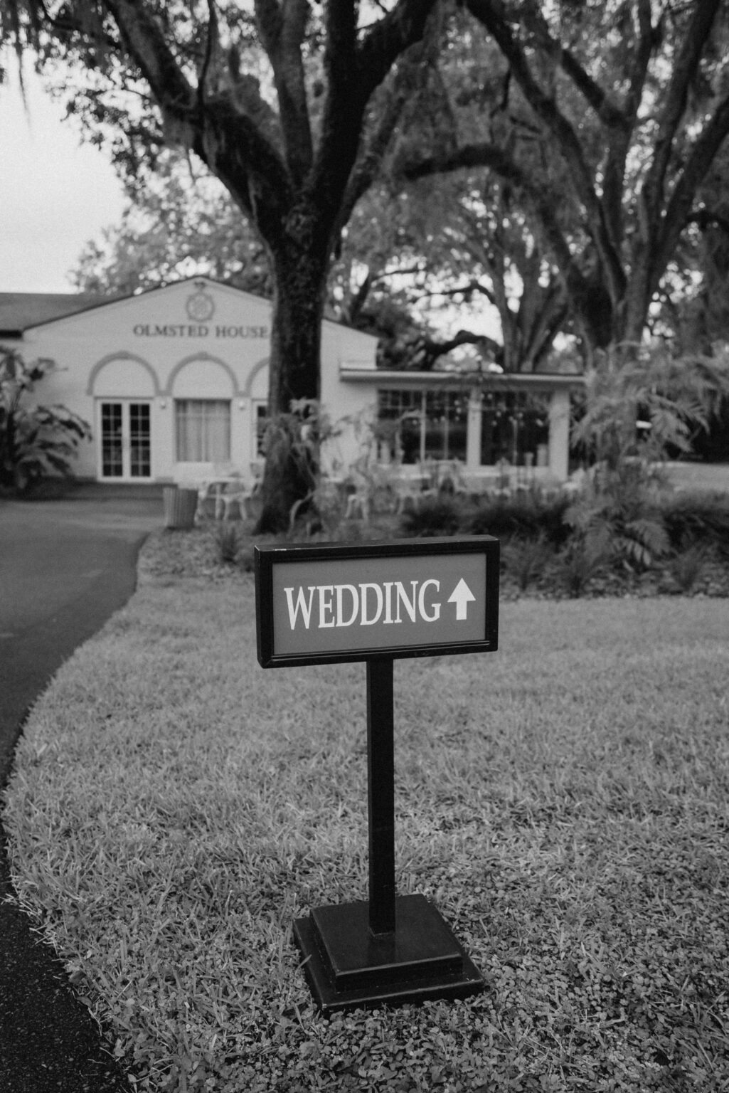 Central Florida Downtown Orlando Destination Elopement, Wedding Vendor Vendors, Engagement Photographer Photographers, Bok Tower Gardens Elopement and Wedding Venue, Lake Wales Weddings Portrait Engagement Photography Packages