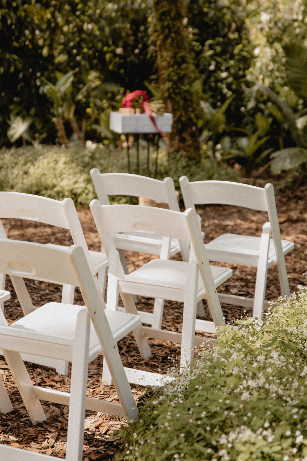 Central Florida Downtown Orlando Destination Elopement, Wedding Vendor Vendors, Engagement Photographer Photographers, Bok Tower Gardens Elopement and Wedding Venue, Lake Wales Weddings Portrait Engagement Photography Packages