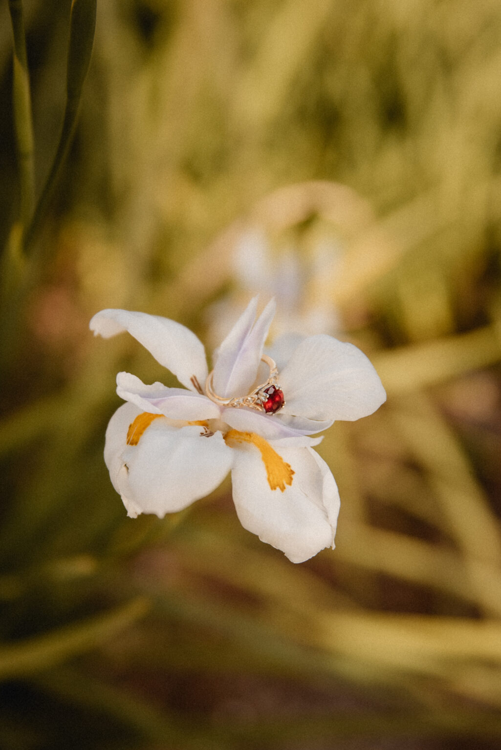 Central Florida Downtown Orlando Destination Elopement, Wedding Vendor Vendors, Engagement Photographer Photographers, Elopement and Wedding Venue Weddings Portrait Engagement Casa Feliz Wedding Venue Winter Park Florida Photography Packages