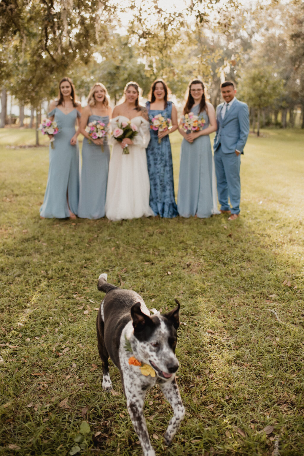 Central Florida Downtown Orlando Destination Elopement, Wedding Vendor Vendors, Engagement Photographer Photographers, Elopement and Wedding Venue Weddings Portrait Engagement Sterling Event Venue Center Wedding Venue Minneola Florida Photography Packages