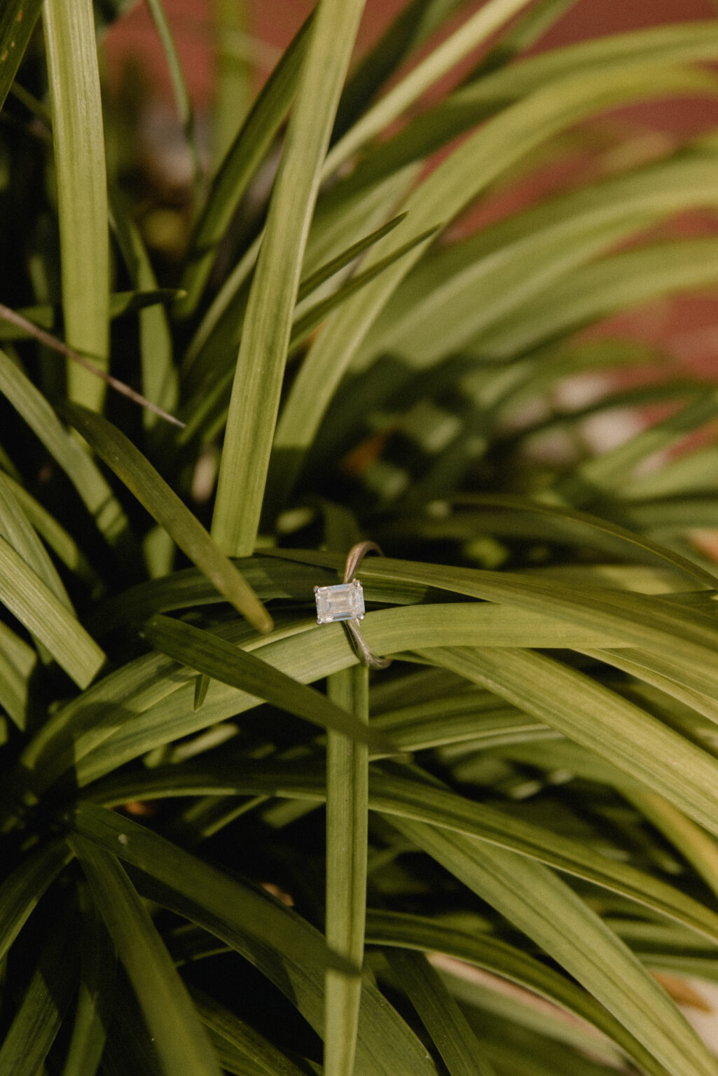 Orlando Central Florida Destination Elopement, Wedding Photographer and Vendor Vendors, Engagement Photographer Photographers, Elopement and Wedding Venue Weddings Portrait Engagement at The Howey Mansion Howey in the Hills Florida wedding packages Shaya Oliver Photography