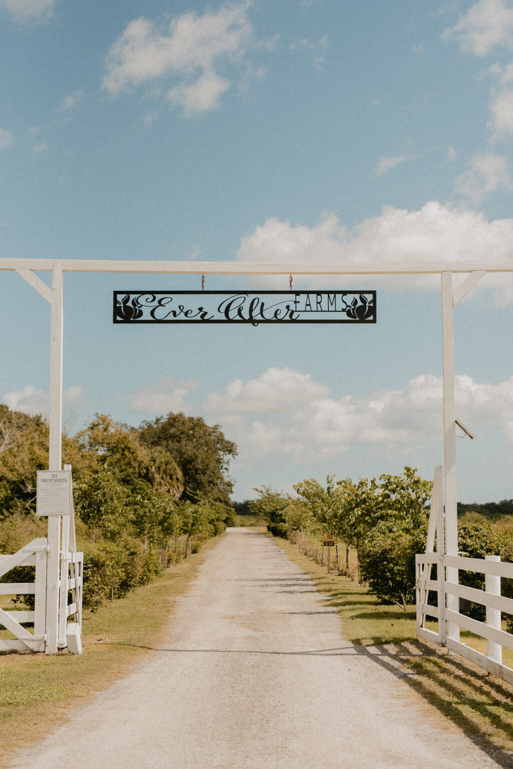 Central Florida Downtown Orlando Destination Elopement, Wedding Photographer and Vendor Vendors, Engagement Photographer Photographers, Elopement and Wedding Venue Weddings Portrait Engagement Peach Barn Ever After Farm Mims Florida wedding packages Shaya Oliver Photo
