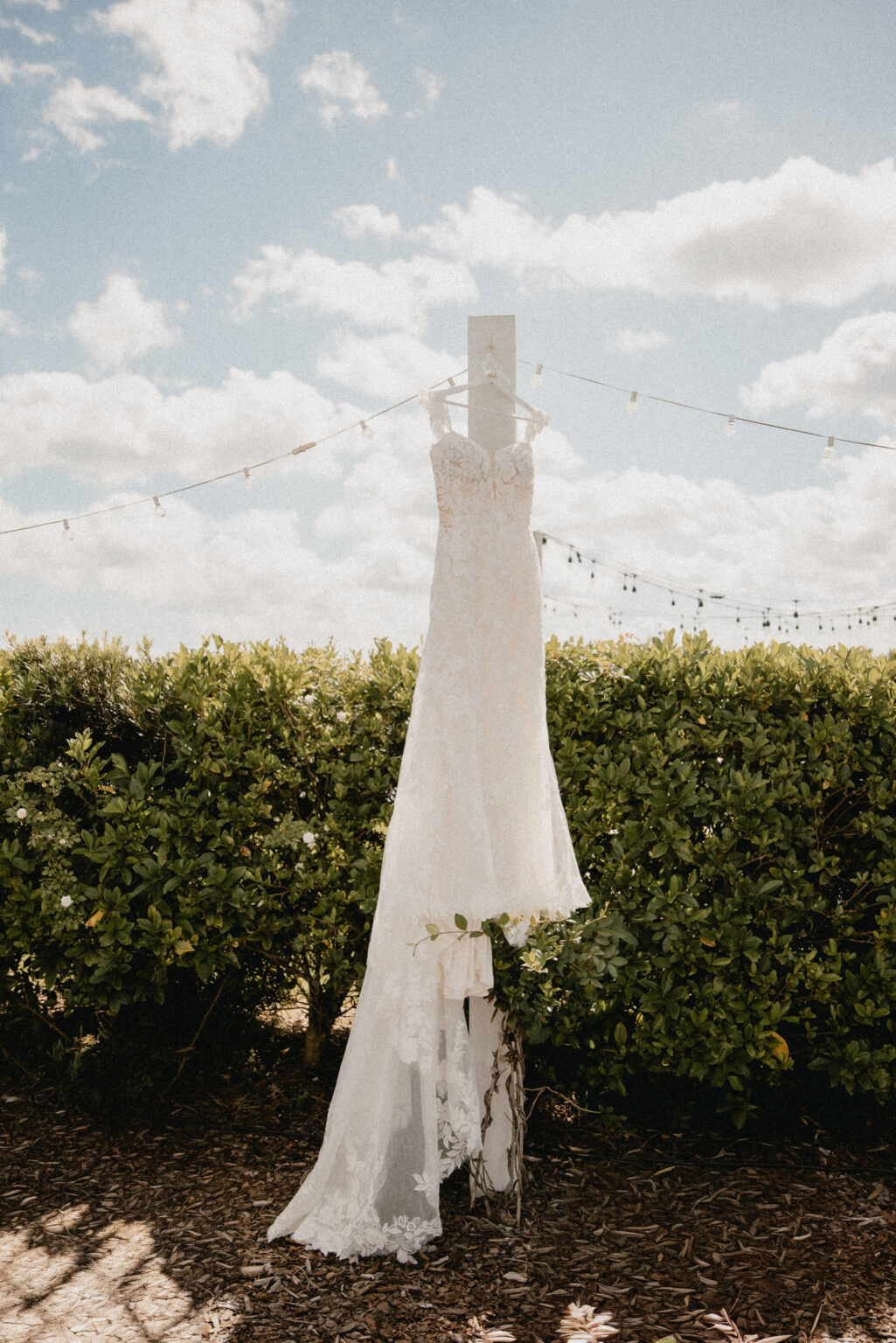 Central Florida Downtown Orlando Destination Elopement, Wedding Photographer and Vendor Vendors, Engagement Photographer Photographers, Elopement and Wedding Venue Weddings Portrait Engagement Peach Barn Ever After Farm Mims Florida wedding packages Shaya Oliver Photo