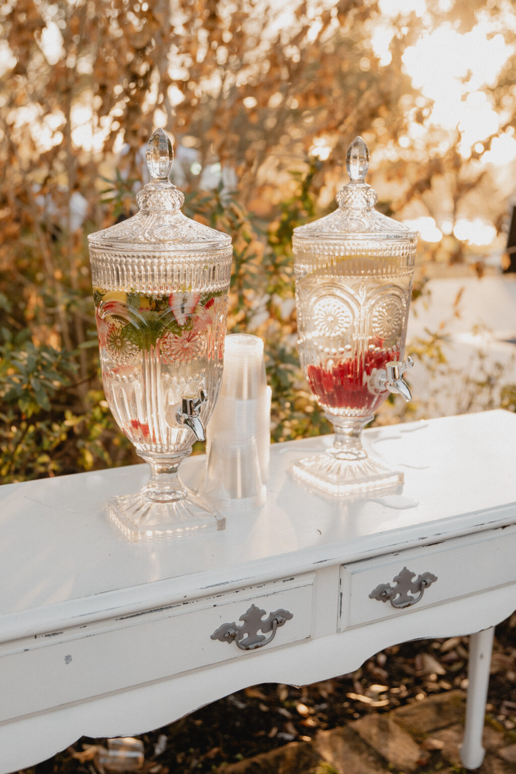 lakeview gardens umatilla florida Orlando Central Florida Destination Elopement, Wedding Photographer and Vendor Vendors, Engagement Photographer Photographers, Elopement Weddings Winter Park Engagement Florida wedding packages Shaya Oliver Photography