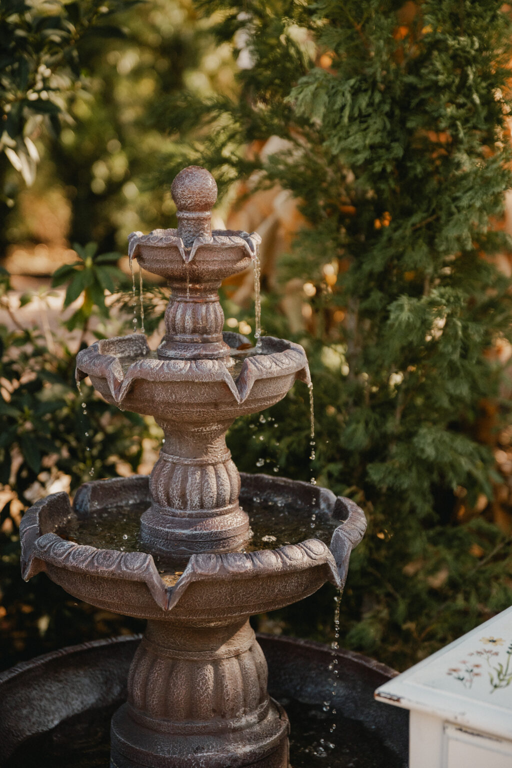 lakeview gardens umatilla florida Orlando Central Florida Destination Elopement, Wedding Photographer and Vendor Vendors, Engagement Photographer Photographers, Elopement Weddings Winter Park Engagement Florida wedding packages Shaya Oliver Photography
