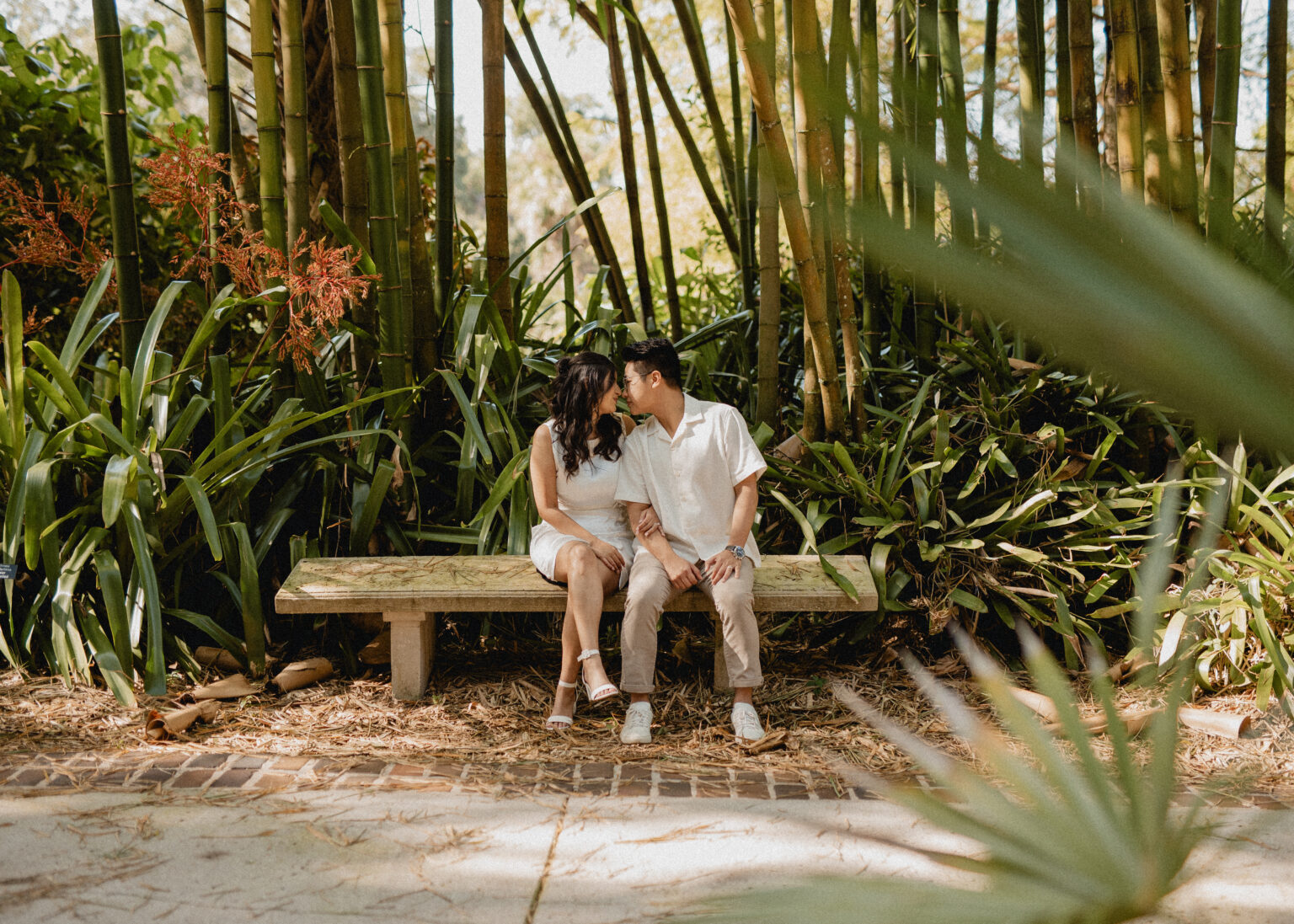 Orlando Central Florida Destination Elopement, Wedding Photographer and Vendor Vendors, Engagement Photographer Photographers, Elopement Weddings Harry P Lue Gardens Winter Park Engagement Florida wedding packages Shaya Oliver Photography